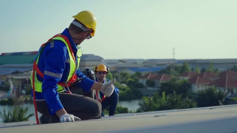 Best Metal Roofing Installation  in Lone Pine, CA