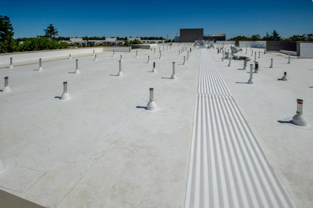Best Roof Moss and Algae Removal  in Lone Pine, CA